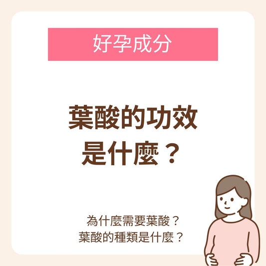 醫師監督 | 葉酸的功效是什麼?為什麼需要葉酸?葉酸的種類是什麼?