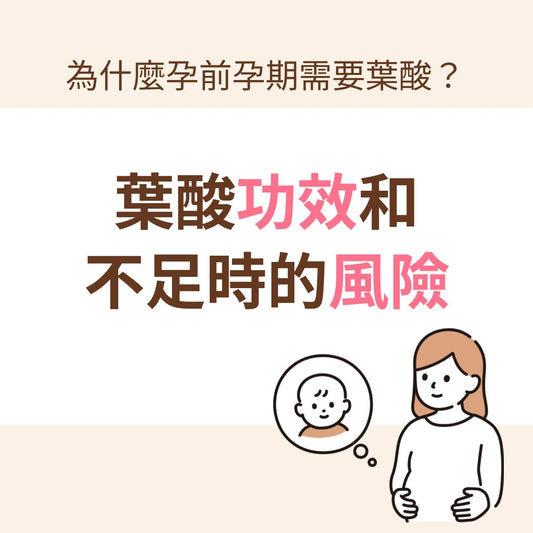 葉酸功效是什麼?為什麼孕前孕期需要葉酸?全面解說葉酸功效和葉酸不足時的風險